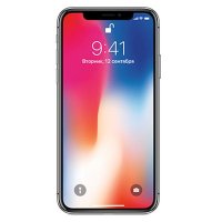 смартфон Apple iPhone X MQAF2RU/A серый