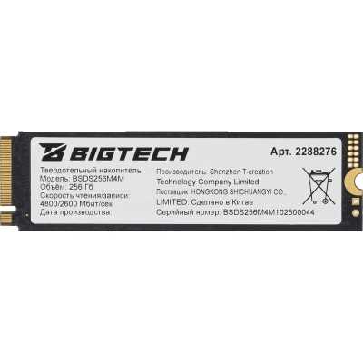 SSD диск BigTech 256Gb BSDS256M4M Черный
