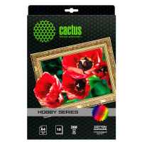 холст Cactus CS-CA426010