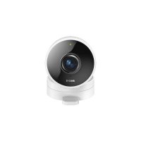 IP видеокамера D-Link DCS-8100LH