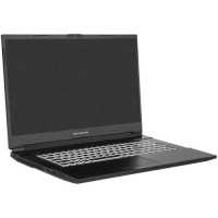 ноутбук Dream Machines RG3060-17EU38-wpro Черный