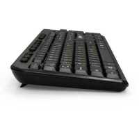 клавиатура ExeGate Professional Standard LY-500M EX286177RUS Черный