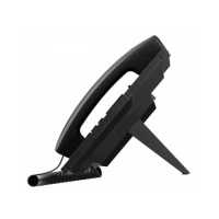 IP телефон Fanvil X3S Pro Black Черный