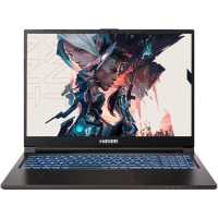 ноутбук Hasee T8-A5NP+-wpro Черный