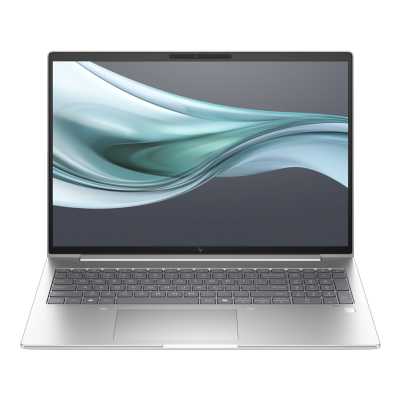 ноутбук HP EliteBook 660 G11 902D8AV Серебристый