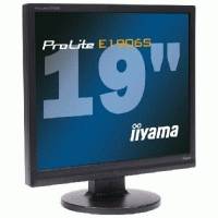 монитор Iiyama ProLite E1906S-B1 Черный
