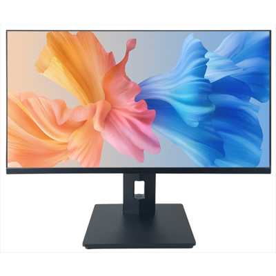 монитор Irbis MirView R24FIDRS123_MIR Черный