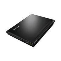 ноутбук Lenovo IdeaPad S215 59421371 Черный