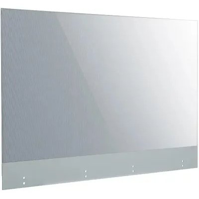 специальный дисплей LG 55EW5G-V