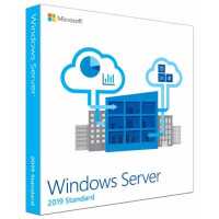 Microsoft Windows Server Standard 2019 P73-07916