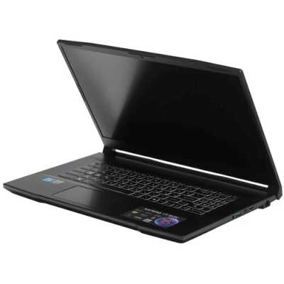ноутбук MSI Katana 17 B13VEK-1610XRU Черный