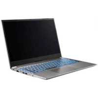 ноутбук Nerpa Caspica I752-15AD165100G Серебристый