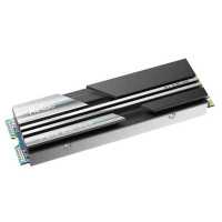 SSD диск Netac NV5000 500Gb NT01NV5000-500-E4X Черный