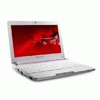 нетбук Packard Bell DOT S-E3/P-513RU Розовый