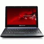 нетбук Packard Bell DOT S-E3/V-500RU Фиолетовый