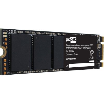 SSD диск PC PET 256Gb PCPS256G1 Черный