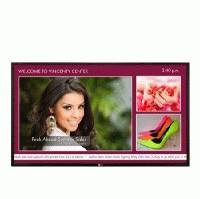 ЖК панель LG 42WL10MS-B Черный