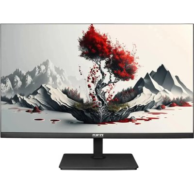 монитор RDW Computers 2401K/F00B3100V2A1H Черный