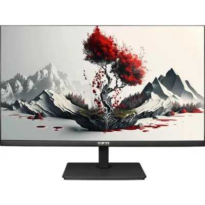 монитор RDW Computers RDW2401K/F08В3120V2A1 Черный