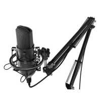 микрофон Ritmix RDM-169 Black Черный