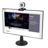 веб-камера Ritmix RVC-250
