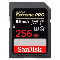 карта памяти SanDisk 256GB SDSDXXY-256G-GN4IN