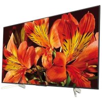 телевизор Sony KD-55XF8596
