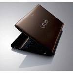 ноутбук Sony Vaio VPC-EB4L1RT Коричневый