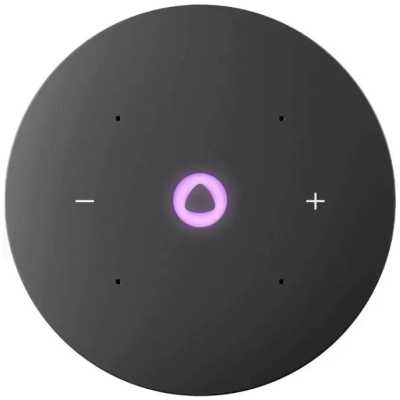 умная колонка Яндекс Станция Мини 3 черная YNDX-00027BLK